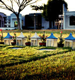 即时到账充值的电话网页在线轰炸源码